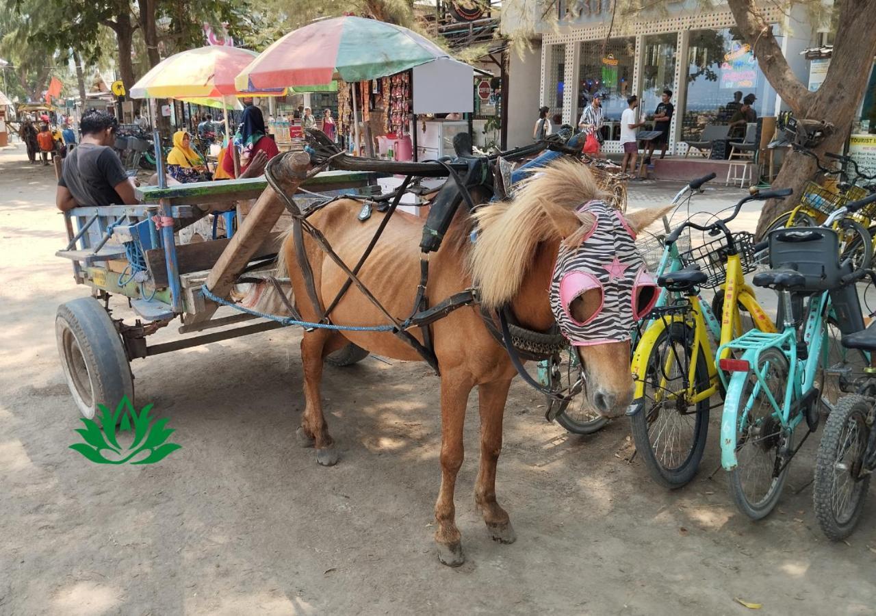 Energy Melati Gili Otel Gili Trawangan Dış mekan fotoğraf